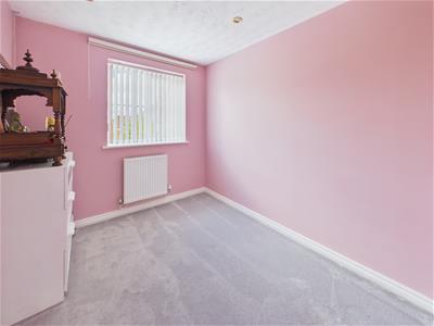 Picture 20